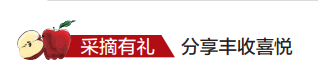 未标题-1