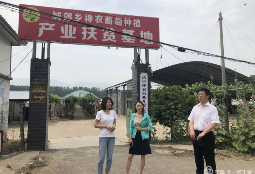 农业标准化扶贫项目5