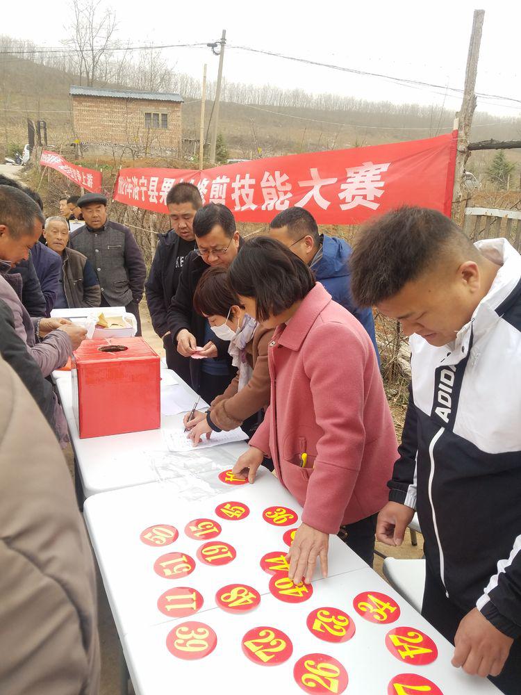 图片3