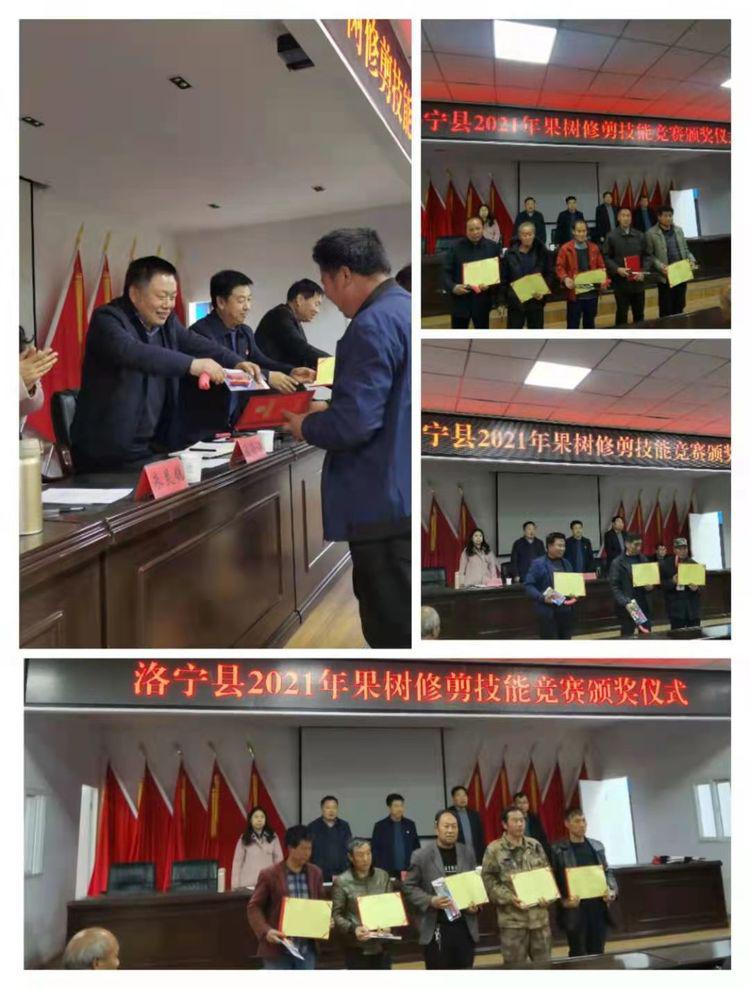 图片6