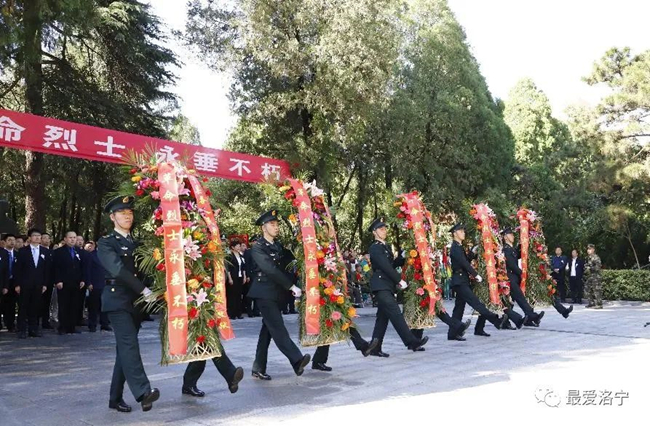 未命名_副本