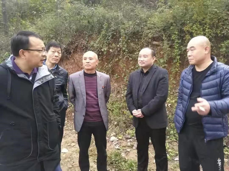 图片6