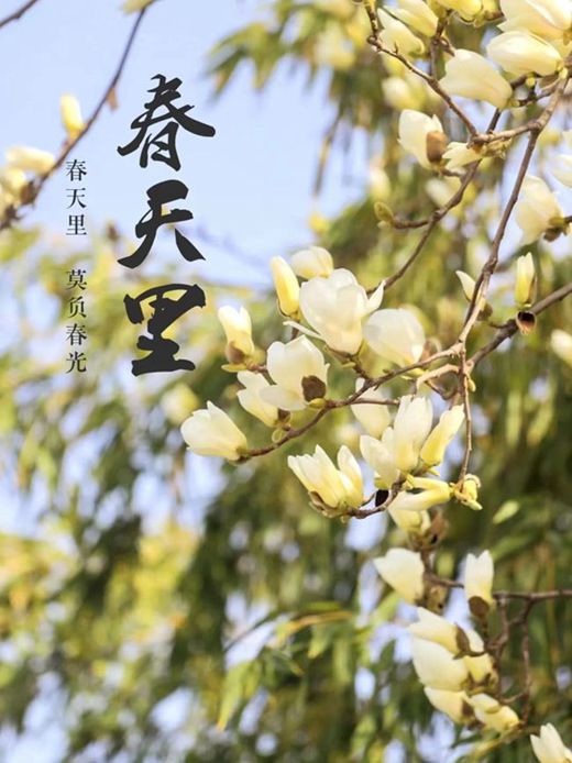 2_副本