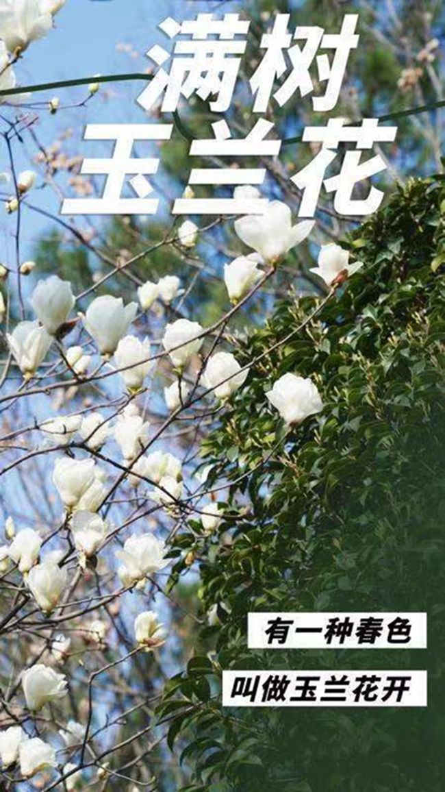 3_副本