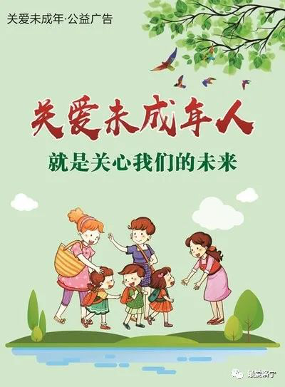 图片3